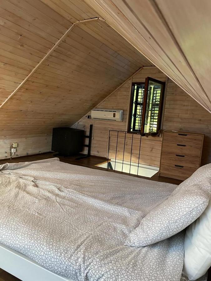 Loup 1981 Villa Bezanija Ngoại thất bức ảnh